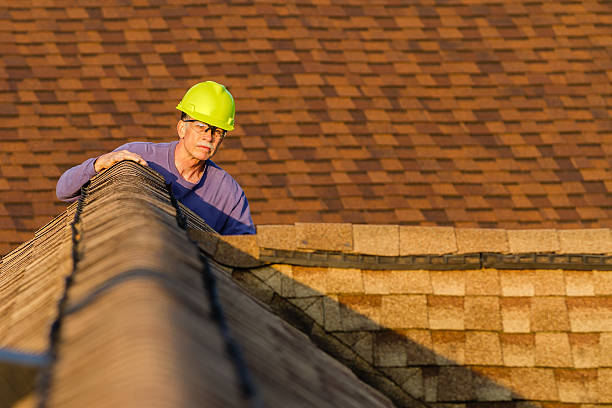 Best Roof Gutter Cleaning  in Fountain Inn, SC